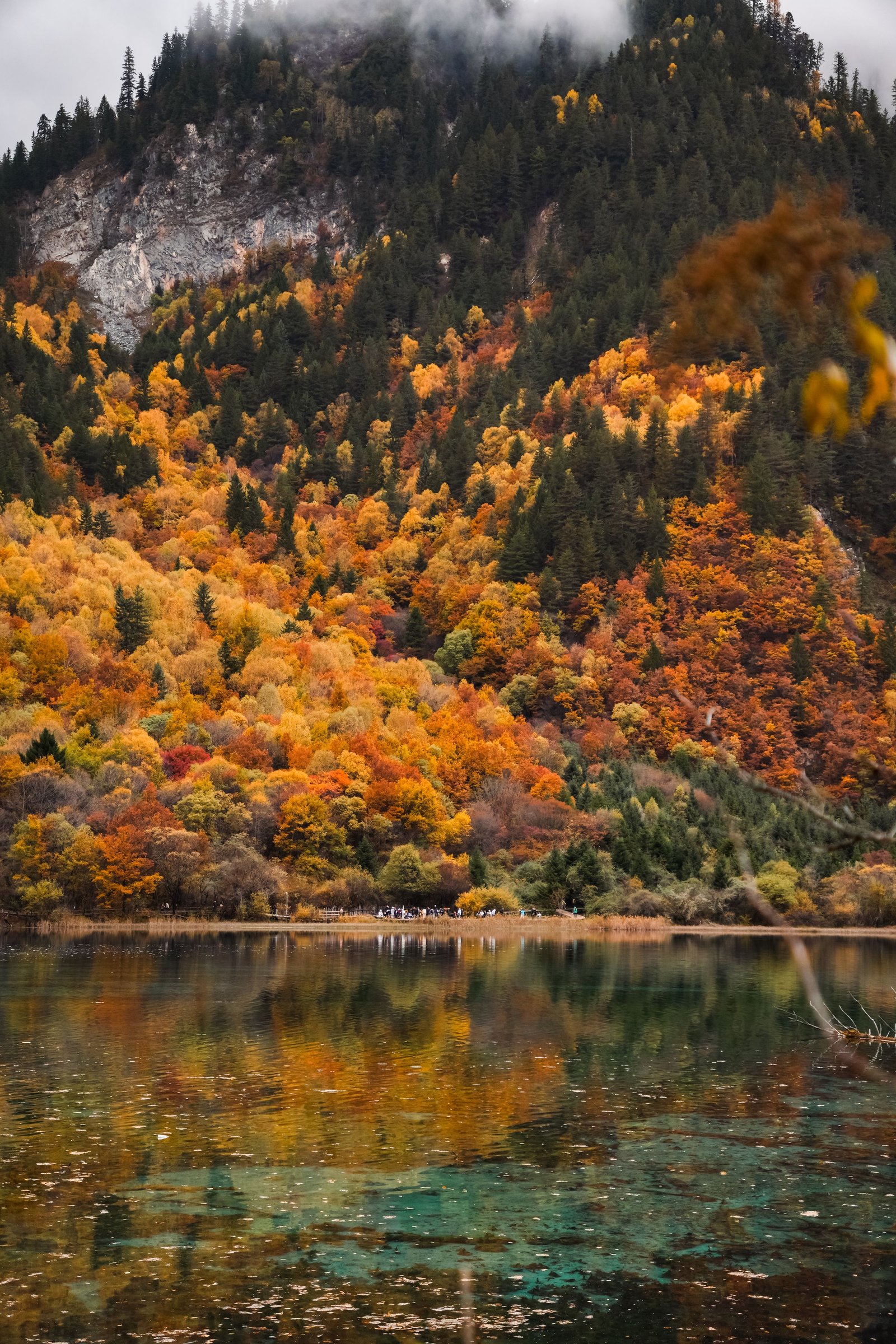 Autumn trees beside clear water in Jiuzhaigou.