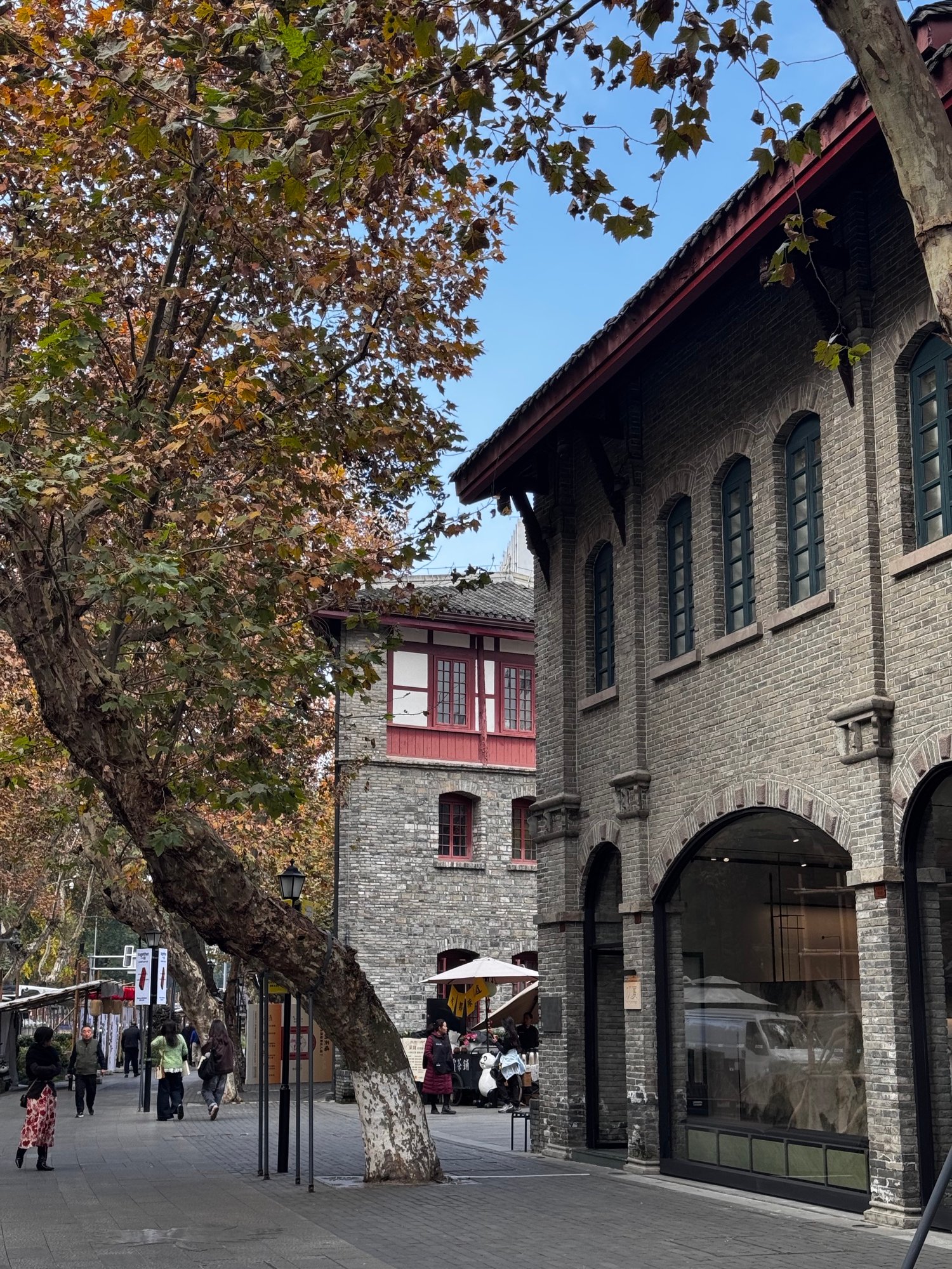 Tree-lined Chengdu street with historic-style buildings.