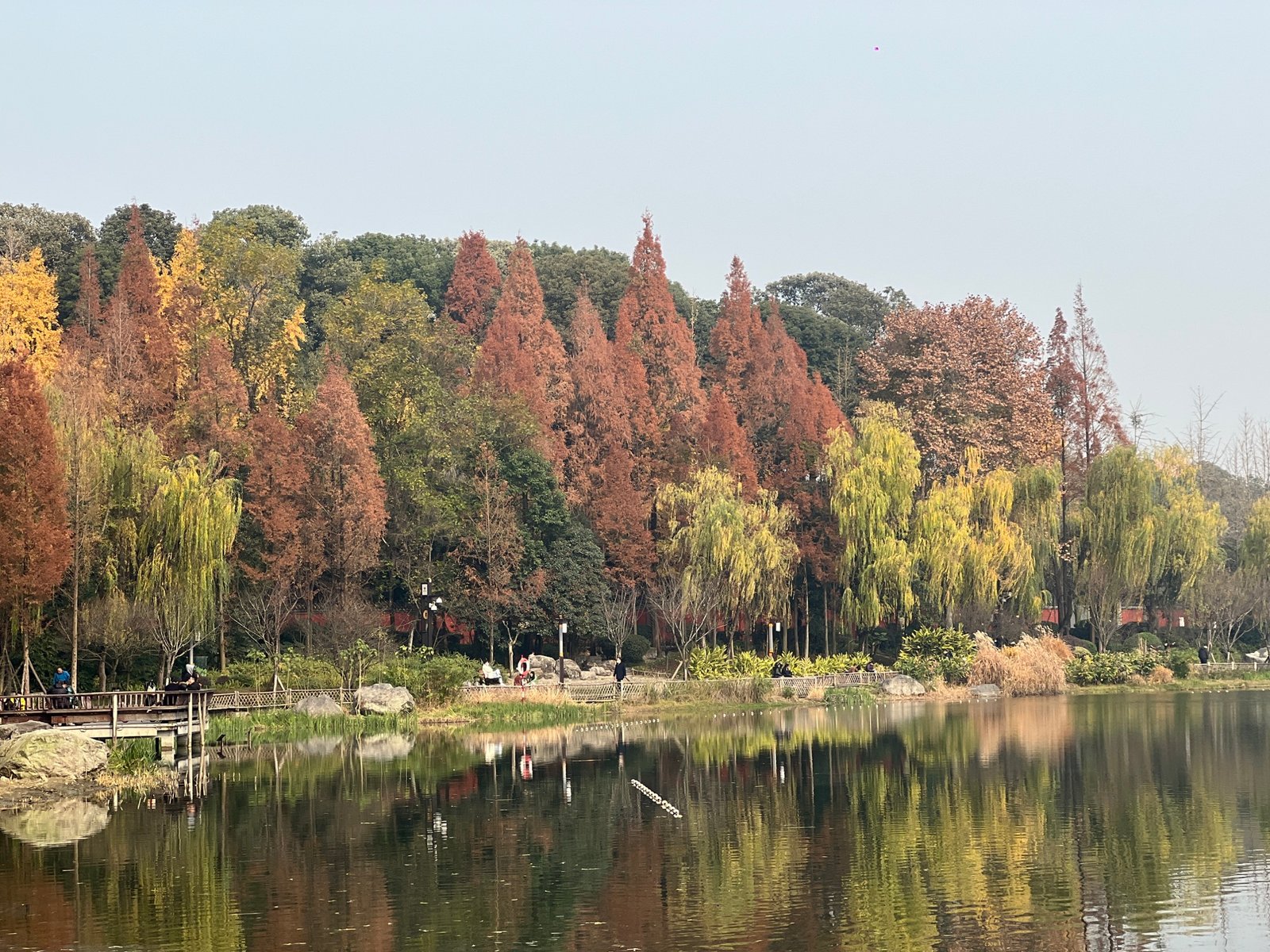 Greenery along Huanhuaxi park
