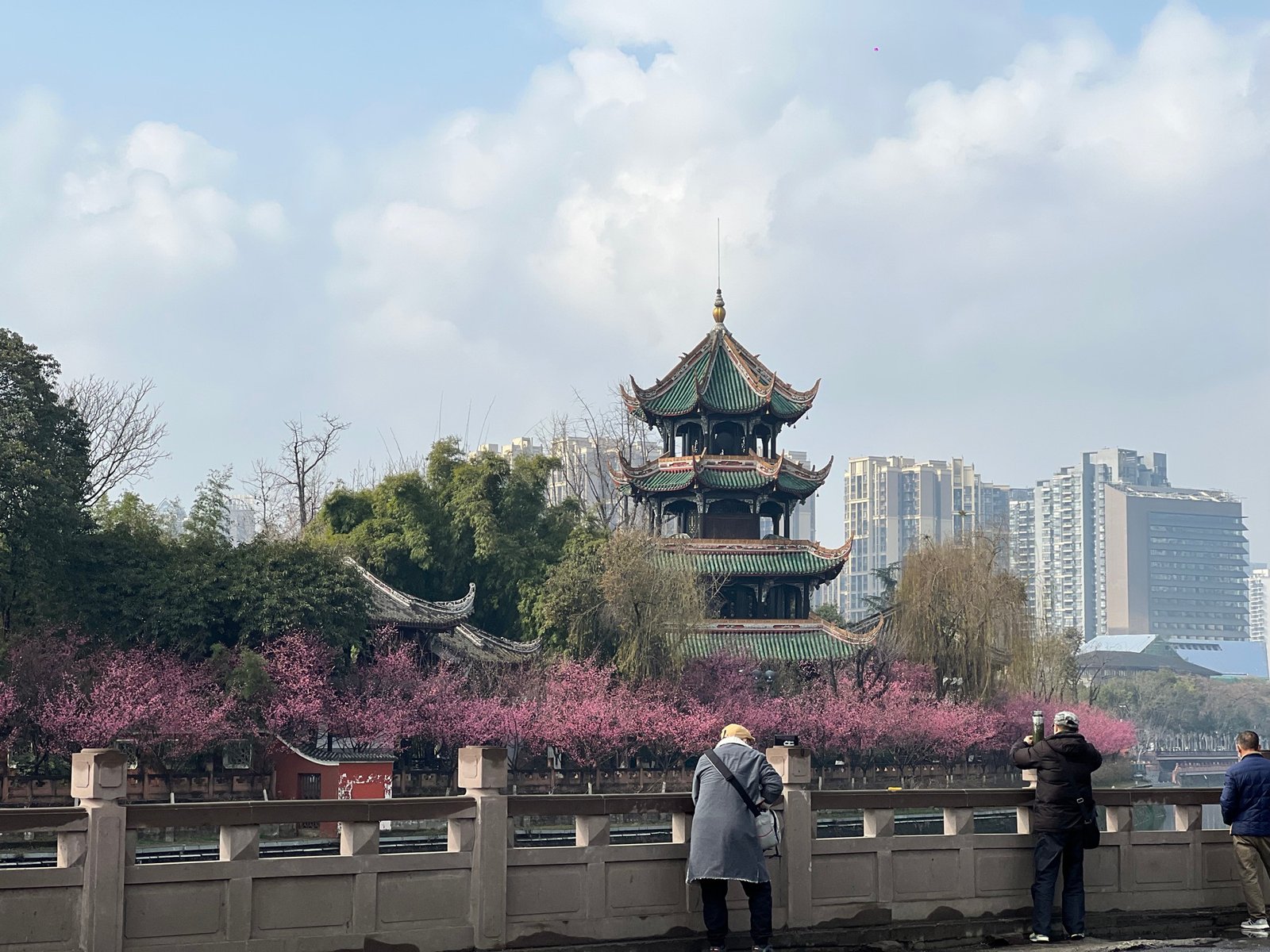 Traditional pavilion framed by bamboo and the Chengdu skyline.